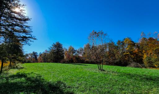 Photo #14 of SOLD property in 1254 Anglin Mill Rd, Stoneville, NC 44.5 acres