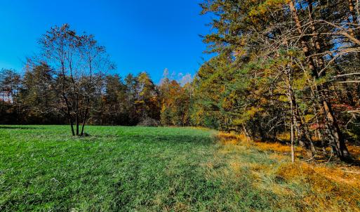 Photo #15 of SOLD property in 1254 Anglin Mill Rd, Stoneville, NC 44.5 acres