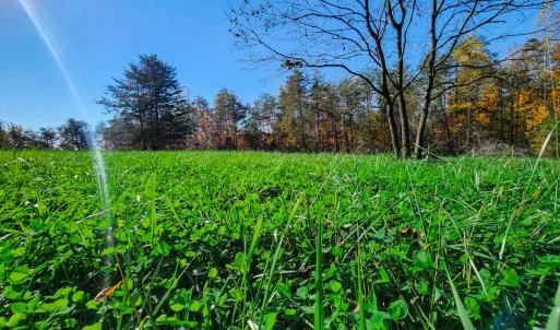 Photo #16 of SOLD property in 1254 Anglin Mill Rd, Stoneville, NC 44.5 acres