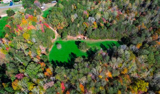 Photo #17 of SOLD property in 1254 Anglin Mill Rd, Stoneville, NC 44.5 acres