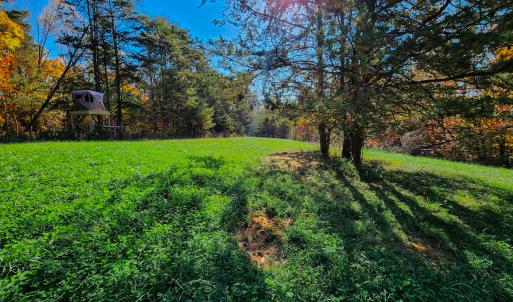 Photo #22 of SOLD property in 1254 Anglin Mill Rd, Stoneville, NC 44.5 acres