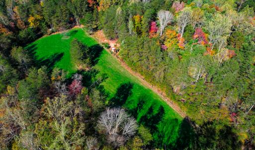 Photo #26 of SOLD property in 1254 Anglin Mill Rd, Stoneville, NC 44.5 acres