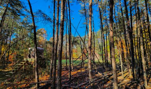 Photo #33 of SOLD property in 1254 Anglin Mill Rd, Stoneville, NC 44.5 acres