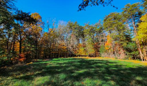 Photo #34 of SOLD property in 1254 Anglin Mill Rd, Stoneville, NC 44.5 acres