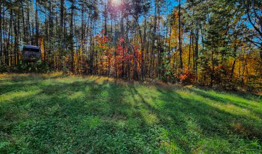 Photo #35 of SOLD property in 1254 Anglin Mill Rd, Stoneville, NC 44.5 acres