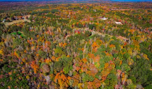 Photo #36 of SOLD property in 1254 Anglin Mill Rd, Stoneville, NC 44.5 acres