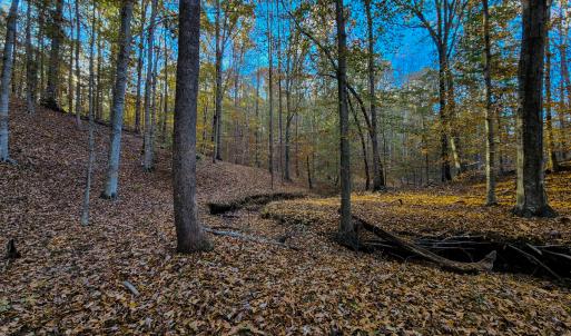 Photo #37 of SOLD property in 1254 Anglin Mill Rd, Stoneville, NC 44.5 acres