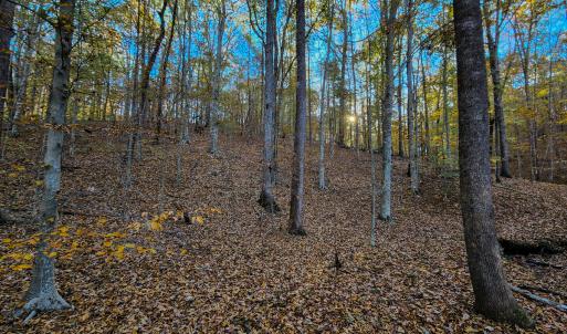 Photo #38 of SOLD property in 1254 Anglin Mill Rd, Stoneville, NC 44.5 acres