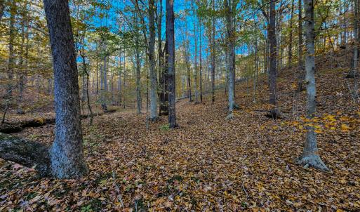 Photo #39 of SOLD property in 1254 Anglin Mill Rd, Stoneville, NC 44.5 acres