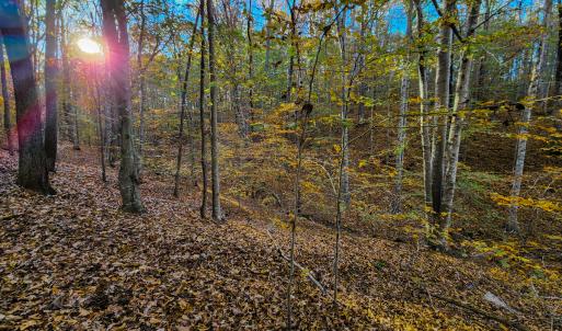 Photo #40 of SOLD property in 1254 Anglin Mill Rd, Stoneville, NC 44.5 acres