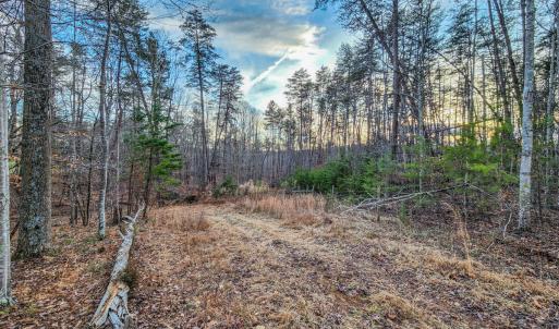 Photo #9 of SOLD property in 1254 Anglin Mill Rd, Stoneville, NC 44.5 acres