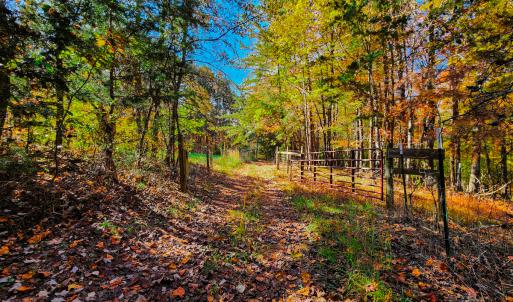 Photo #10 of SOLD property in 1254 Anglin Mill Rd, Stoneville, NC 44.5 acres