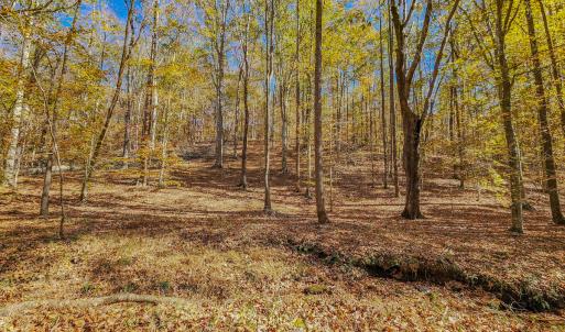 Photo #41 of SOLD property in 1254 Anglin Mill Rd, Stoneville, NC 44.5 acres