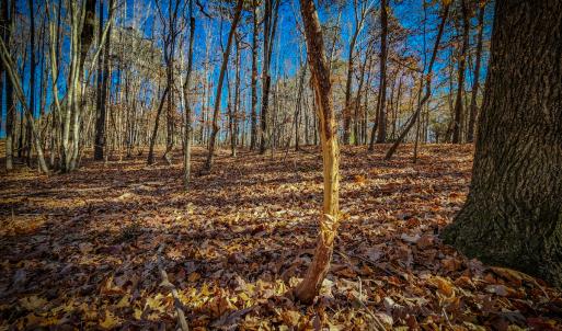 Photo #42 of SOLD property in 1254 Anglin Mill Rd, Stoneville, NC 44.5 acres