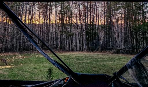 Photo #45 of SOLD property in 1254 Anglin Mill Rd, Stoneville, NC 44.5 acres