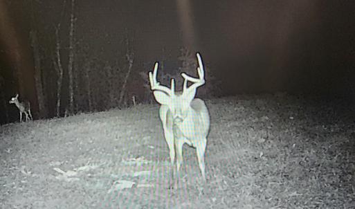 Photo #46 of SOLD property in 1254 Anglin Mill Rd, Stoneville, NC 44.5 acres