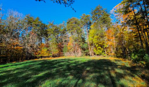 Photo #47 of SOLD property in 1254 Anglin Mill Rd, Stoneville, NC 44.5 acres