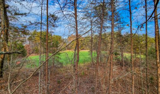 Photo #52 of SOLD property in 1254 Anglin Mill Rd, Stoneville, NC 44.5 acres