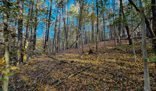 Photo #53 of SOLD property in 1254 Anglin Mill Rd, Stoneville, NC 44.5 acres