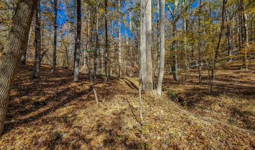 Photo #54 of SOLD property in 1254 Anglin Mill Rd, Stoneville, NC 44.5 acres