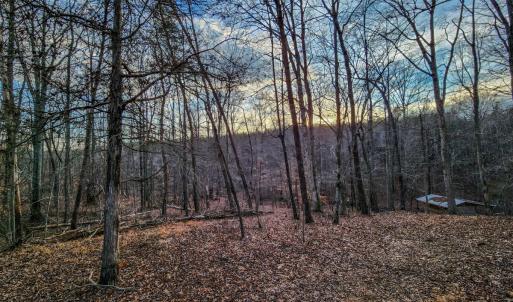 Photo #61 of SOLD property in 1254 Anglin Mill Rd, Stoneville, NC 44.5 acres