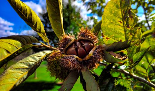 Photo #64 of SOLD property in 1254 Anglin Mill Rd, Stoneville, NC 44.5 acres