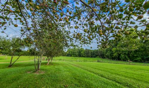 Photo #65 of SOLD property in 1254 Anglin Mill Rd, Stoneville, NC 44.5 acres