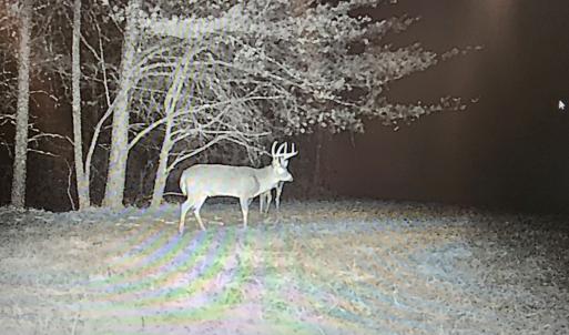 Photo #88 of SOLD property in 1254 Anglin Mill Rd, Stoneville, NC 44.5 acres