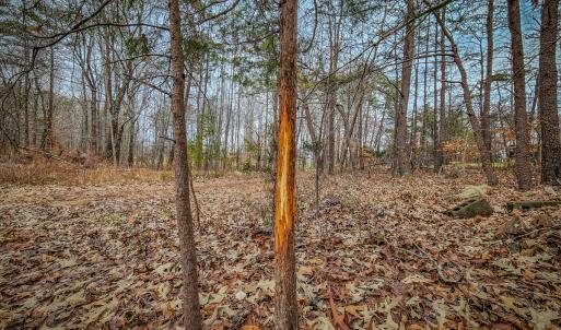 Photo #90 of SOLD property in 1254 Anglin Mill Rd, Stoneville, NC 44.5 acres