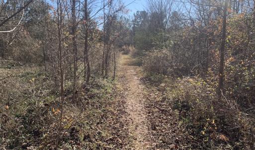 Photo #10 of SOLD property in Off Reed Road, South Hill, VA 59.6 acres