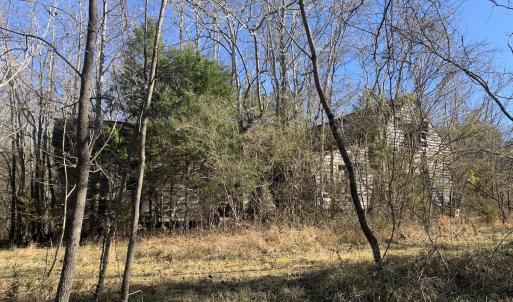 Photo #12 of SOLD property in Off Reed Road, South Hill, VA 59.6 acres
