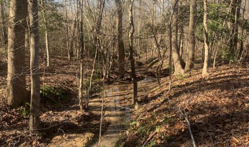 Photo #13 of SOLD property in Off Reed Road, South Hill, VA 59.6 acres