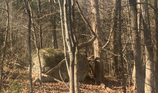 Photo #15 of SOLD property in Off Reed Road, South Hill, VA 59.6 acres