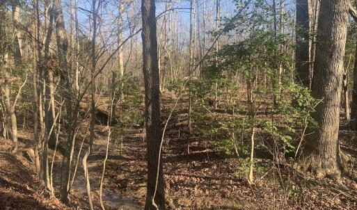 Photo #16 of SOLD property in Off Reed Road, South Hill, VA 59.6 acres
