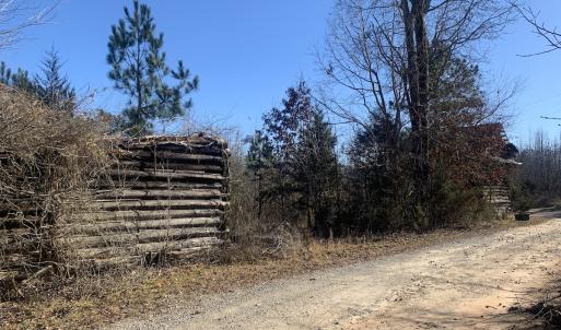 Photo #20 of SOLD property in Off Reed Road, South Hill, VA 59.6 acres
