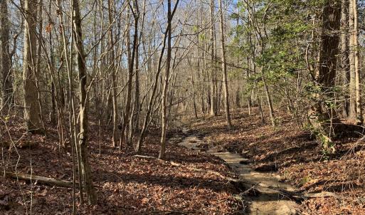 Photo #24 of SOLD property in Off Reed Road, South Hill, VA 59.6 acres
