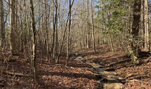 Photo #24 of Off Reed Road, South Hill, VA 59.6 acres