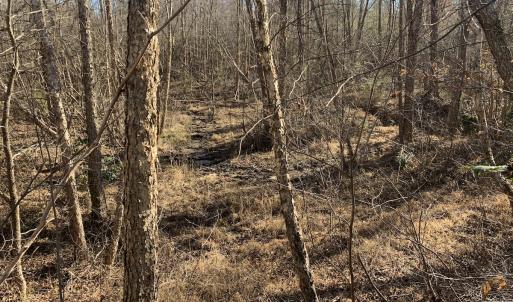 Photo #27 of SOLD property in Off Reed Road, South Hill, VA 59.6 acres