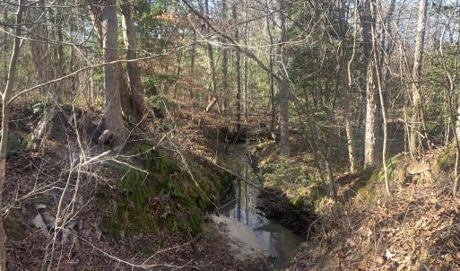 Photo #28 of SOLD property in Off Reed Road, South Hill, VA 59.6 acres