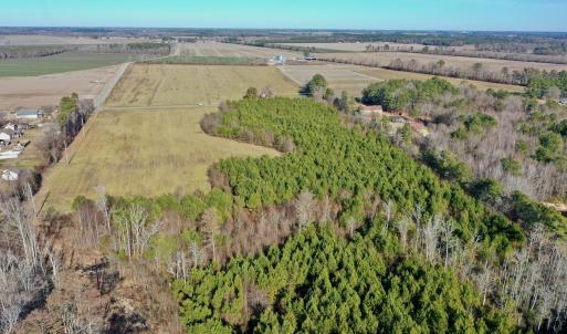 Photo #13 of SOLD property in Off Halls Creek Rd, Elizabeth City, NC 75.6 acres