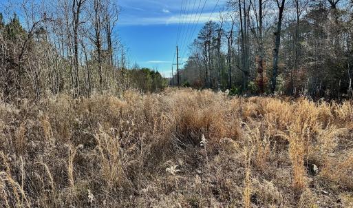 Photo #19 of SOLD property in Off Halls Creek Rd, Elizabeth City, NC 75.6 acres