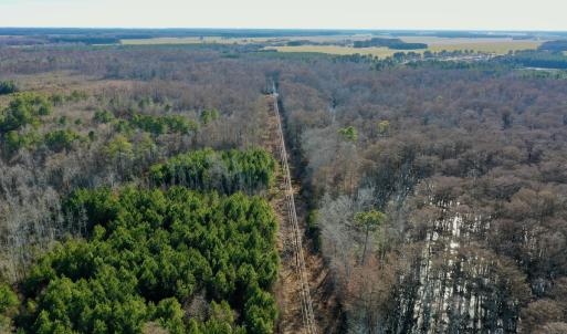 Photo #20 of SOLD property in Off Halls Creek Rd, Elizabeth City, NC 75.6 acres