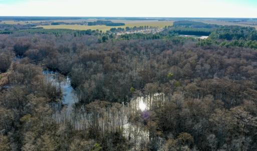Photo #26 of SOLD property in Off Halls Creek Rd, Elizabeth City, NC 75.6 acres