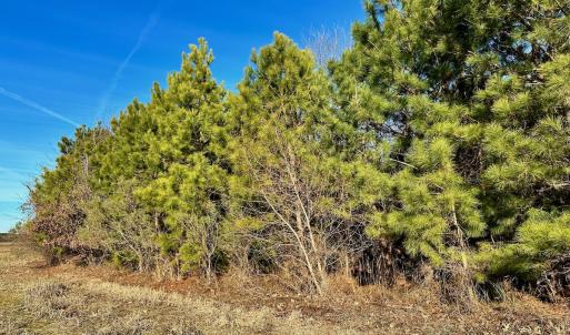 Photo #34 of SOLD property in Off Halls Creek Rd, Elizabeth City, NC 75.6 acres