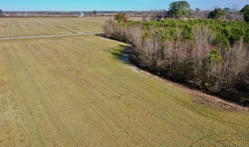 Photo #35 of SOLD property in Off Halls Creek Rd, Elizabeth City, NC 75.6 acres