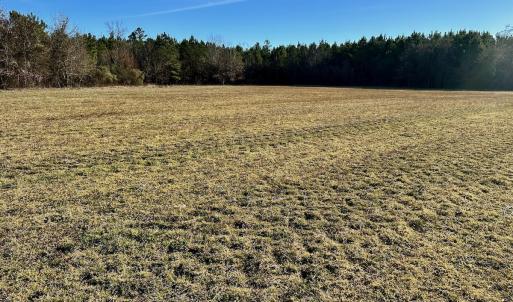 Photo #40 of SOLD property in Off Halls Creek Rd, Elizabeth City, NC 75.6 acres