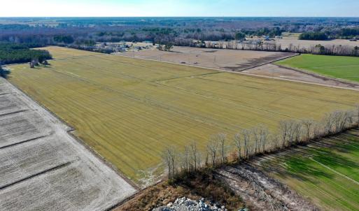 Photo #10 of SOLD property in Off Halls Creek Rd, Elizabeth City, NC 75.6 acres