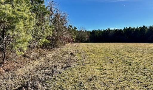 Photo #47 of SOLD property in Off Halls Creek Rd, Elizabeth City, NC 75.6 acres