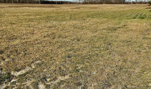 Photo #49 of SOLD property in Off Halls Creek Rd, Elizabeth City, NC 75.6 acres