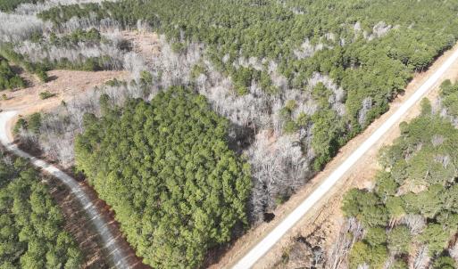 Photo #2 of 405 Batts Island Road, Edenton, NC 10.7 acres